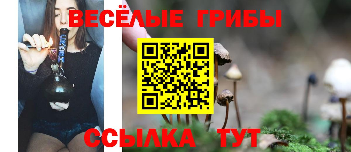 Галлюциногенные грибы Psilocybine cubensis  Вход с VPN  Орехово-Зуево  Псилоцибиновые грибы ЛСД 